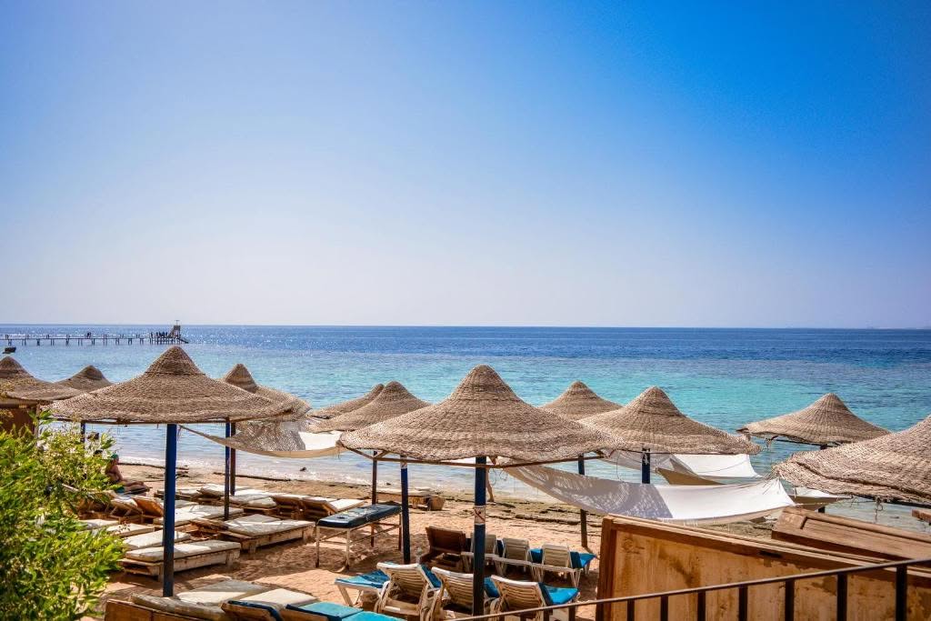 منتجع دايف إن (Dive Inn Resort)