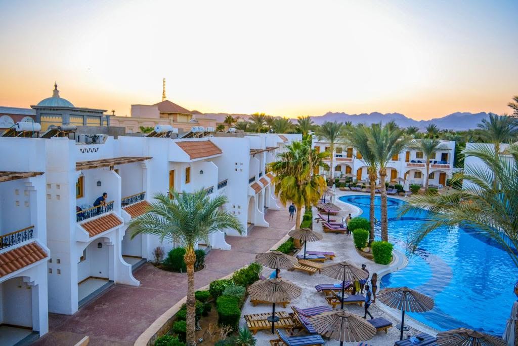منتجع دايف إن (Dive Inn Resort)