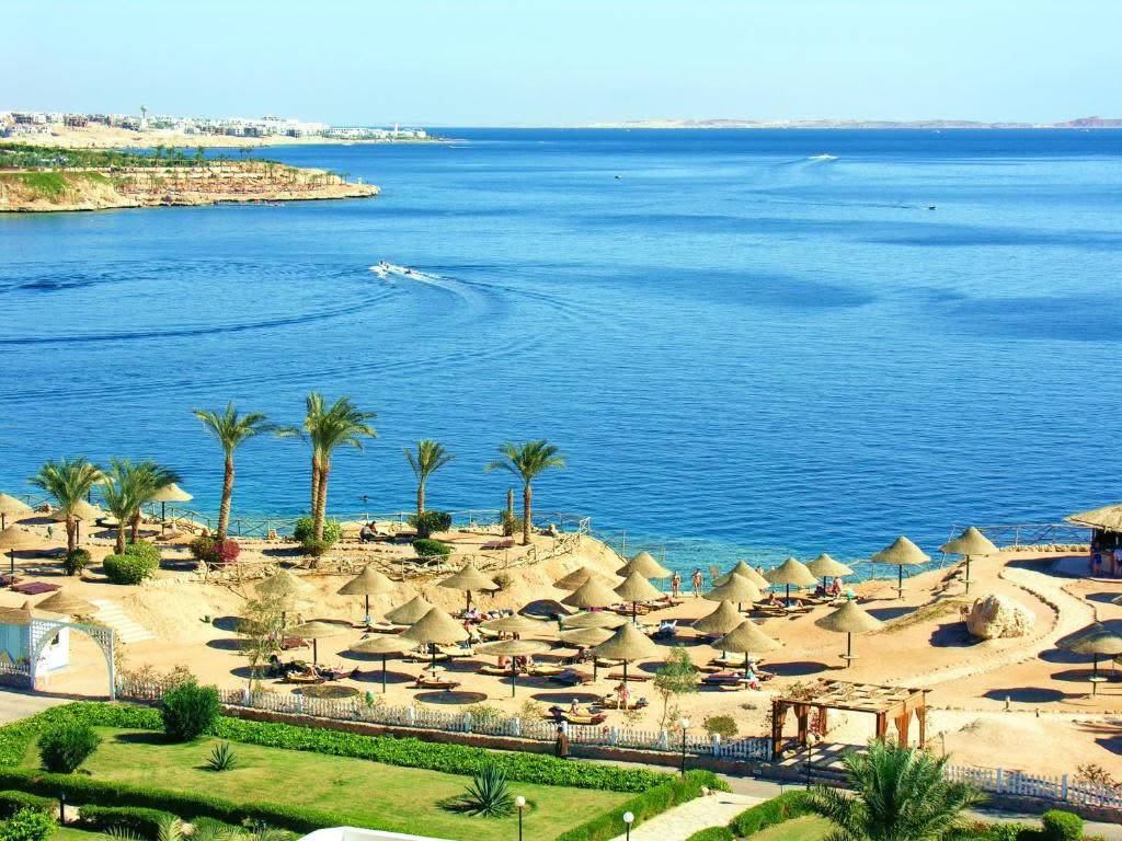 فندق في شاطئ شرم (V Hotel Sharm El Shiekh)